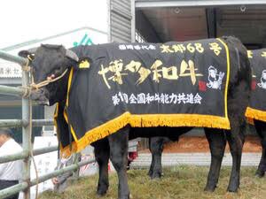 厳選した九州の銘牛